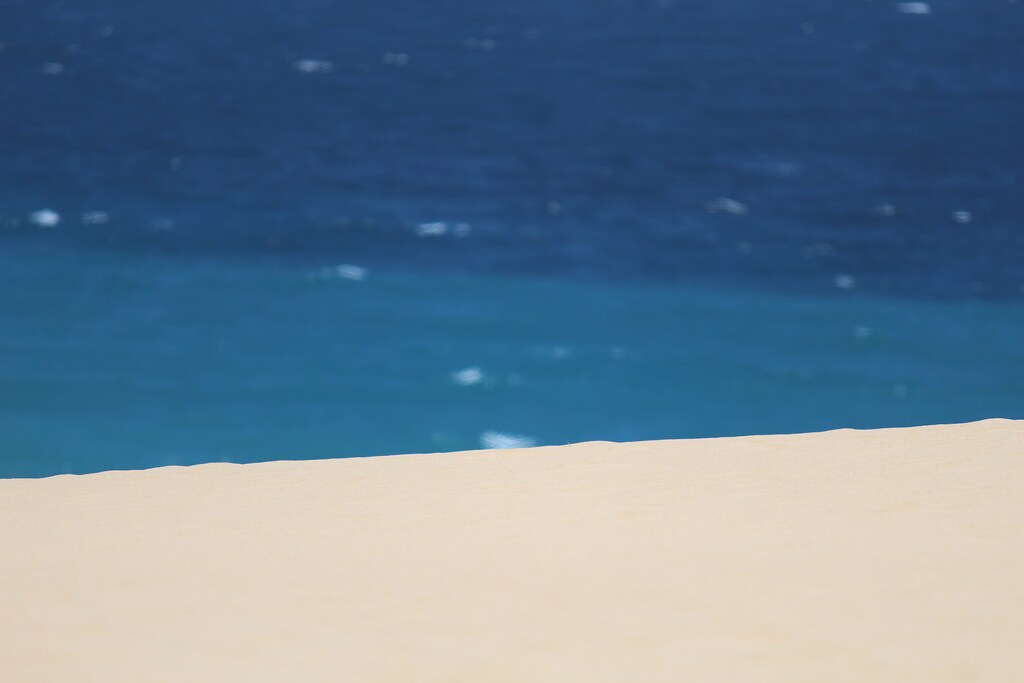 Cover (9).jpg